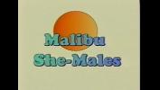 ดูหนังav Metro Malibu Sme Males Full movie 2021 ร้อน