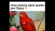 หนัง18 Flamengo nunca sera aceito por Deus excl ล่าสุด